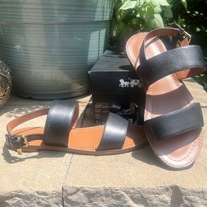 Coach black leather sandals. Size 7 1/2